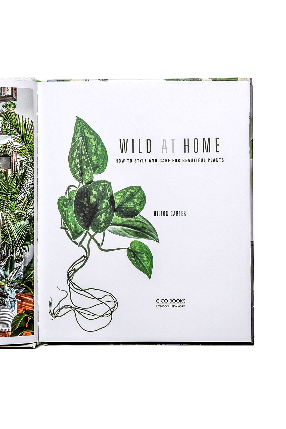 Wild at Home book (SIGNED)